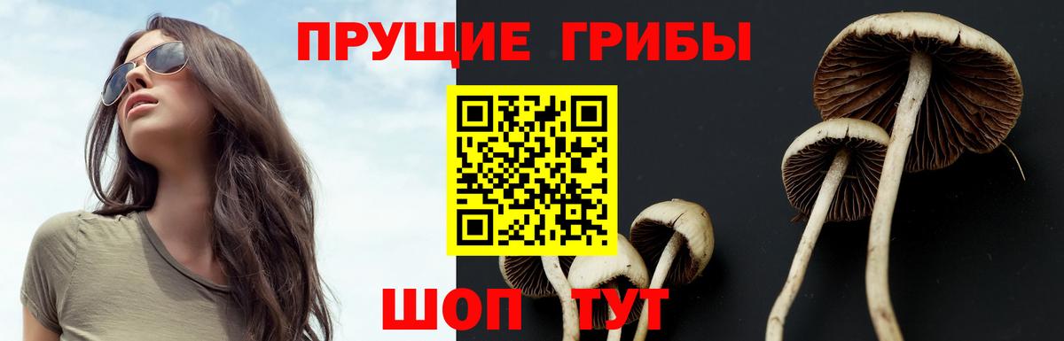 Псилоцибиновые грибы мицелий  Вход с VPN  Спасск-Дальний 